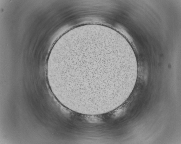 X0000080100807200701051303
