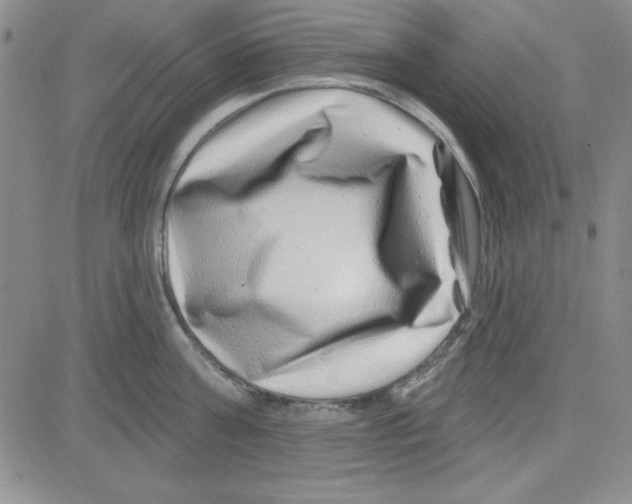 X0000080100811200701051303