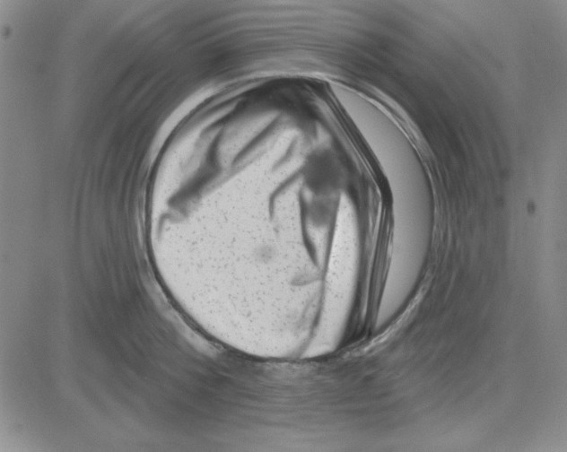 X0000080100812200701051303
