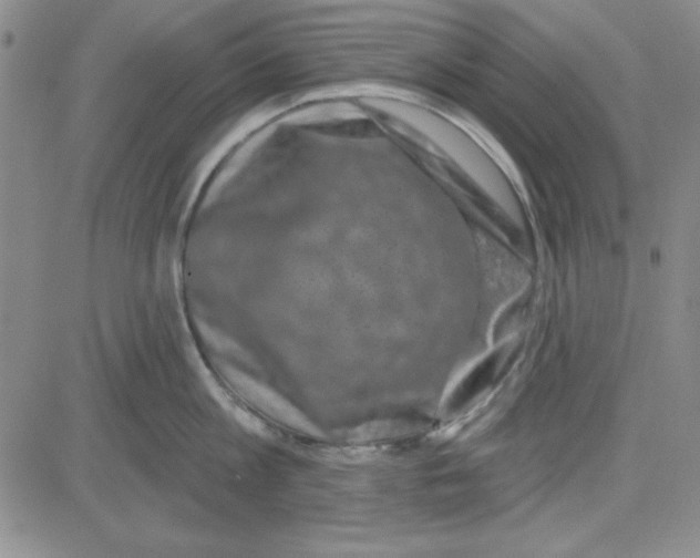 X0000080100813200701051303