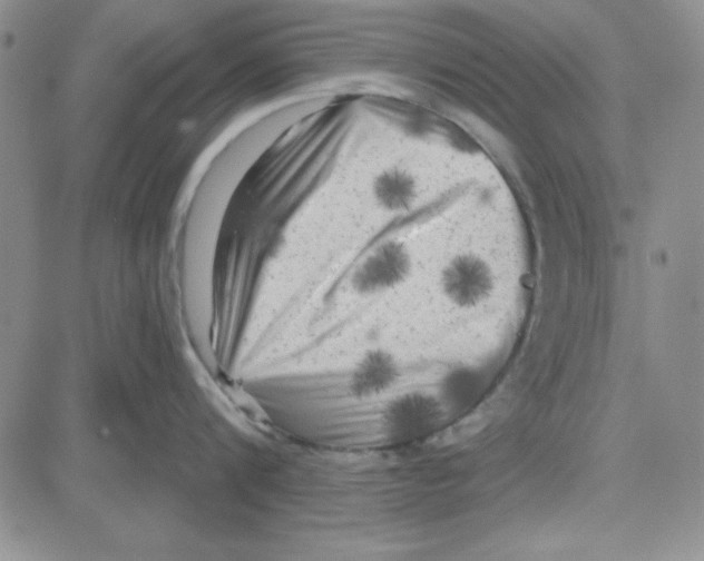X0000080100816200701051303