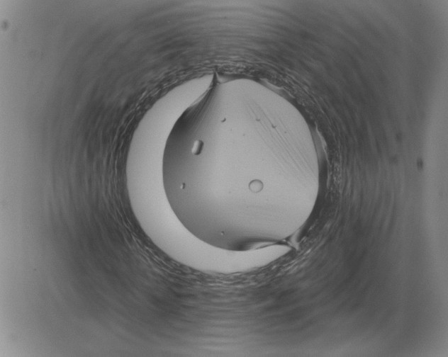 X0000080100818200701051302