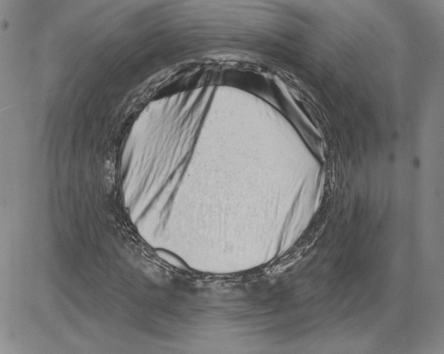 X0000080100821200701051302