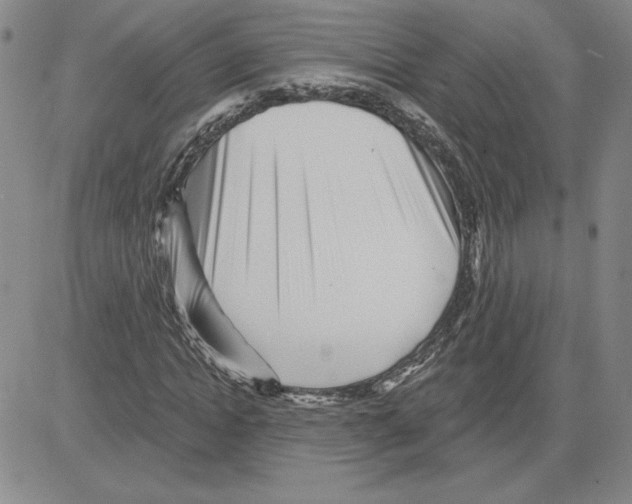 X0000080100822200701051302