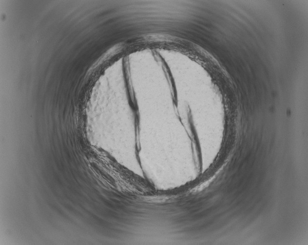 X0000080100825200701051302
