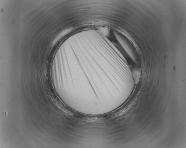 X0000080100826200701051302