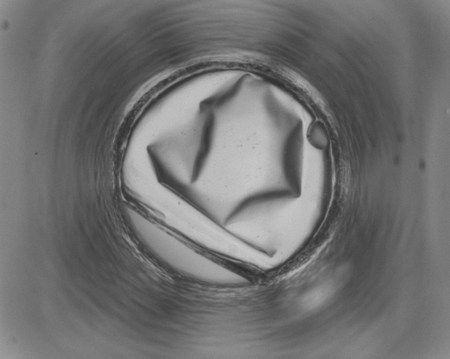 X0000080100829200701051302