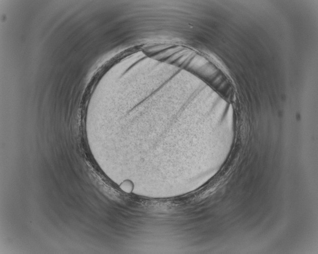 X0000080100831200701051302