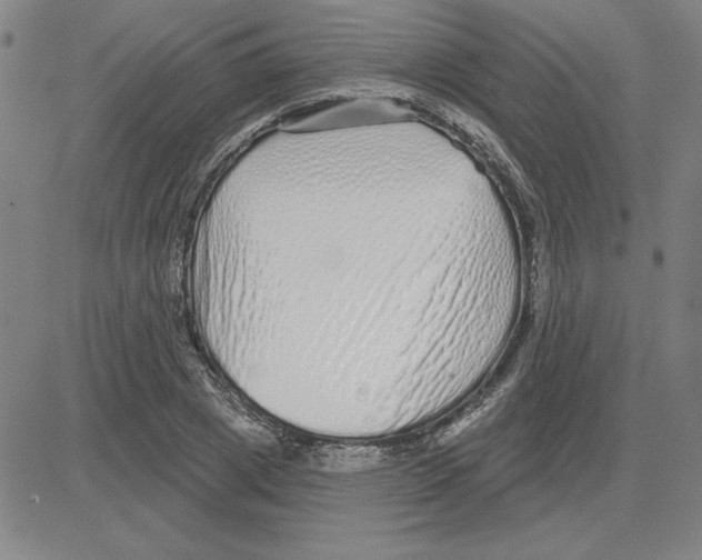 X0000080100833200701051302