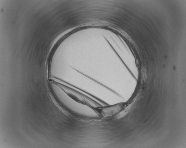 X0000080100838200701051303