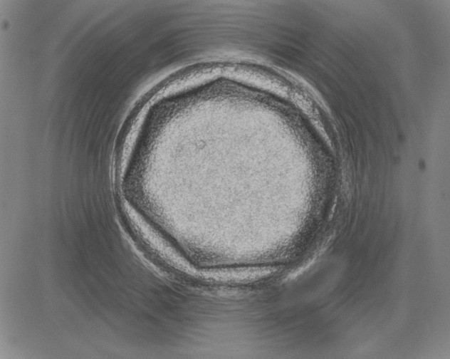 X0000080100839200701051303