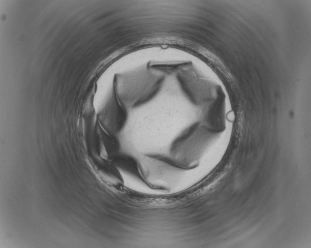 X0000080100841200701051303