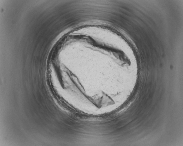 X0000080100845200701051303
