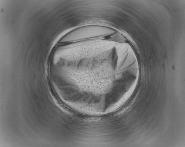 X0000080100846200701051303