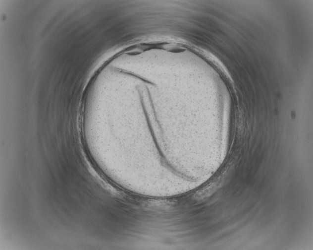 X0000080100847200701051303