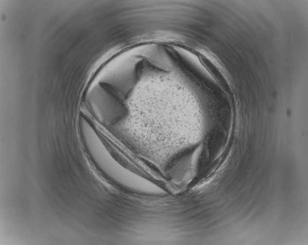 X0000080100850200701051303