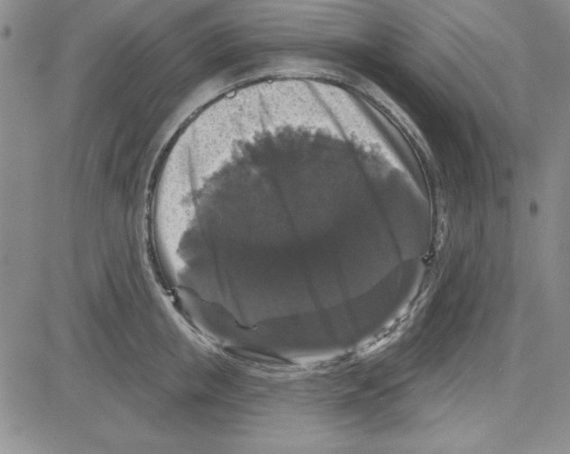 X0000080100853200701051303