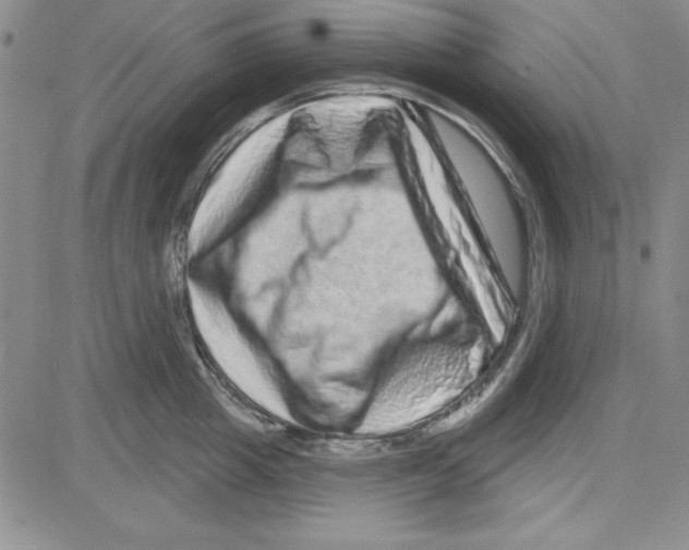 X0000080100857200701051303
