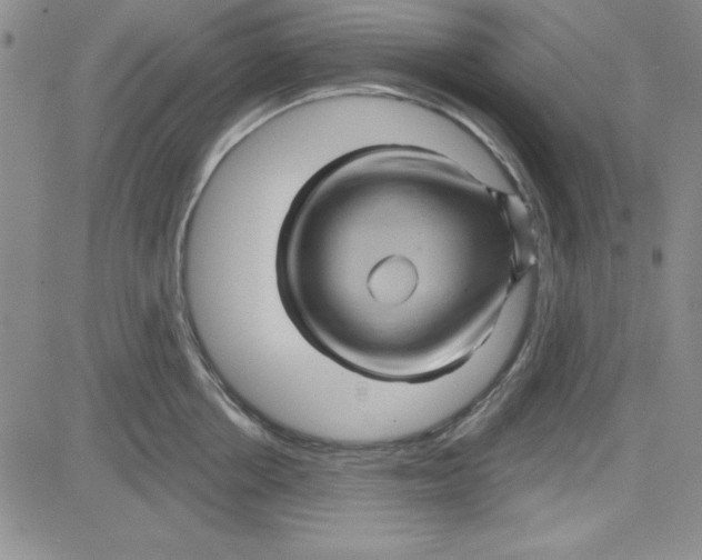 X0000080100858200701051303