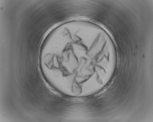 X0000080100861200701051303