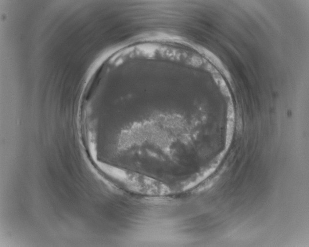 X0000080100863200701051303