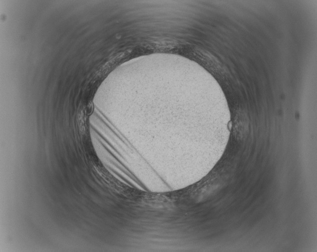 X0000080100866200701051302