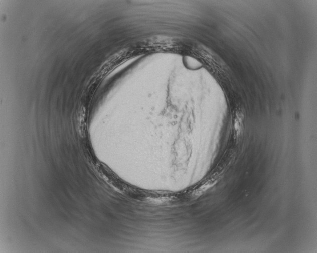 X0000080100867200701051302
