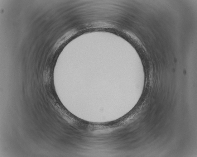 X0000080100873200701051302