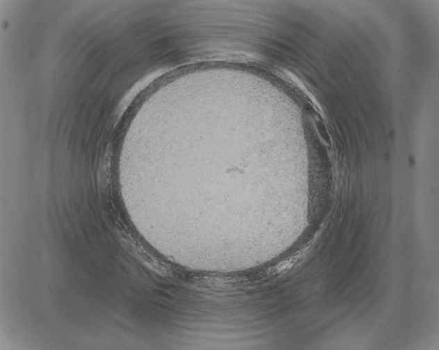 X0000080100875200701051302
