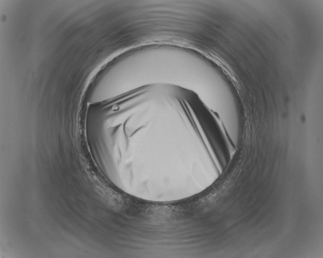 X0000080100880200701051302