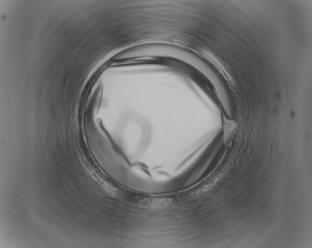 X0000080100884200701051302