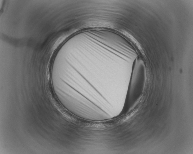 X0000080100885200701051302