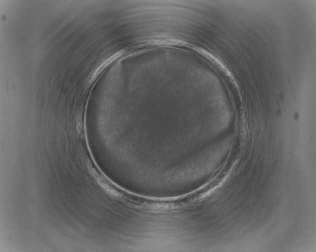 X0000080100889200701051302