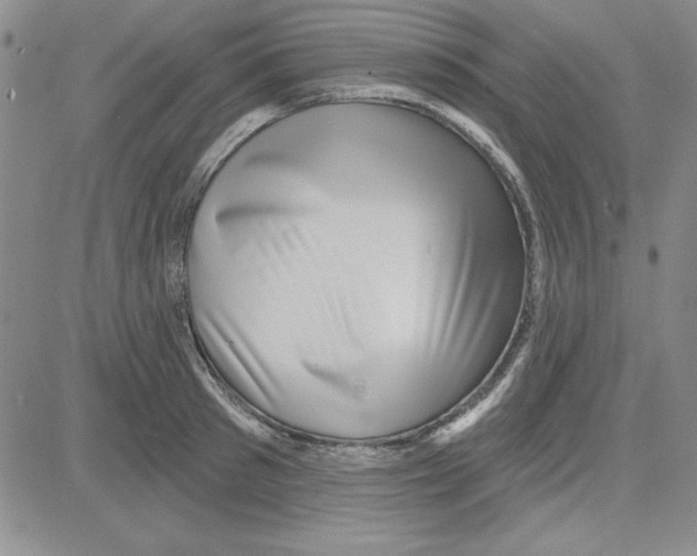 X0000080100897200701051302