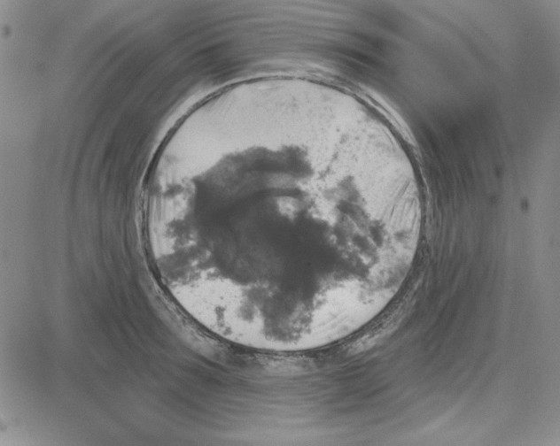 X0000080100899200701051302