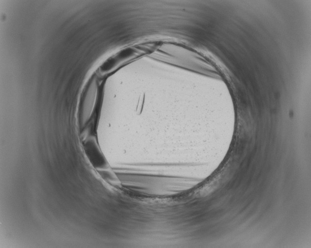 X0000080100902200701051302