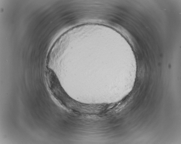 X0000080100903200701051302