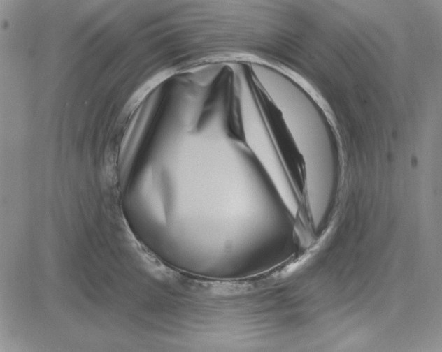 X0000080100905200701051302