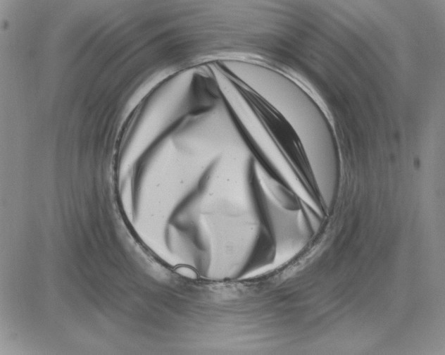 X0000080100906200701051301