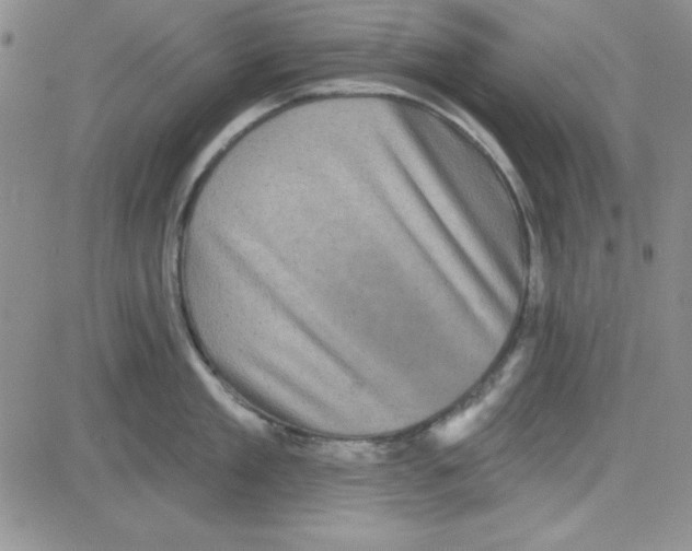X0000080100909200701051301