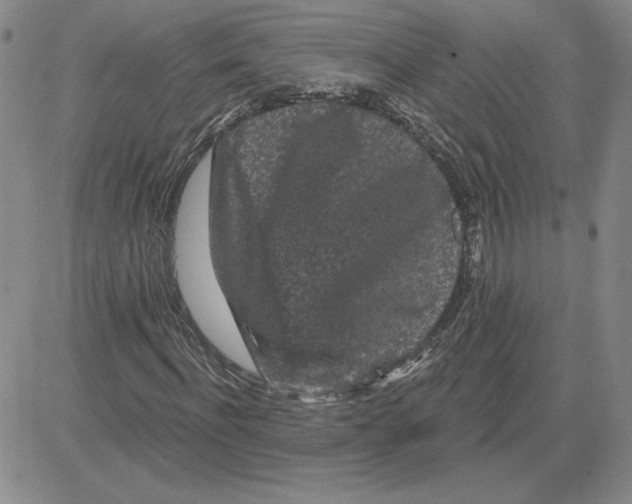X0000080100916200701051301