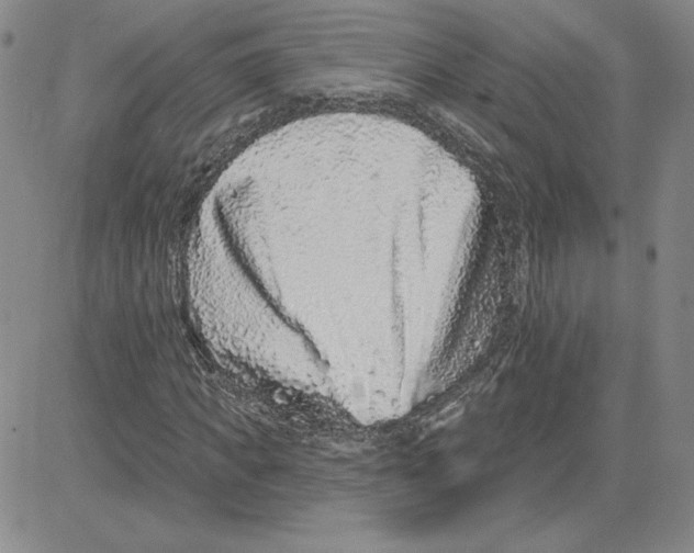 X0000080100917200701051301
