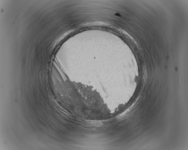 X0000080100921200701051301