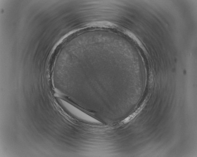 X0000080100923200701051301