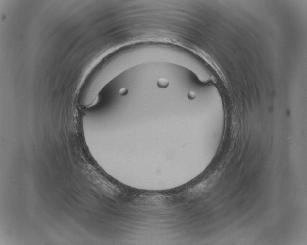 X0000080100926200701051301
