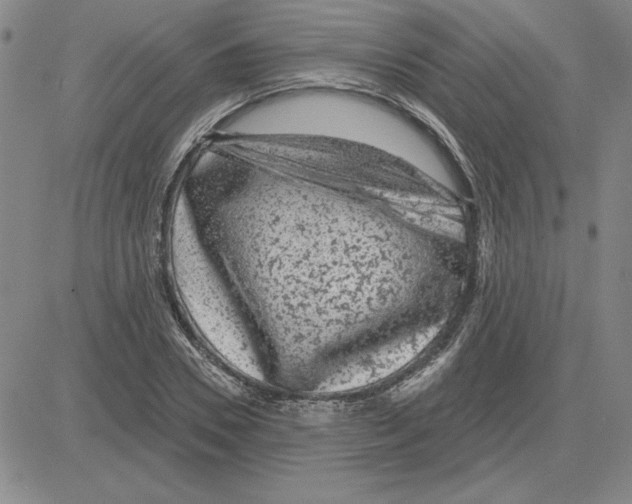 X0000080100930200701051301