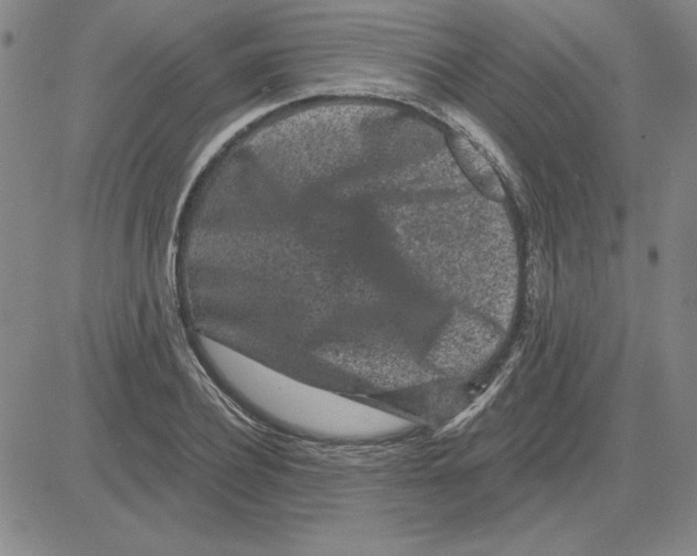 X0000080100932200701051301