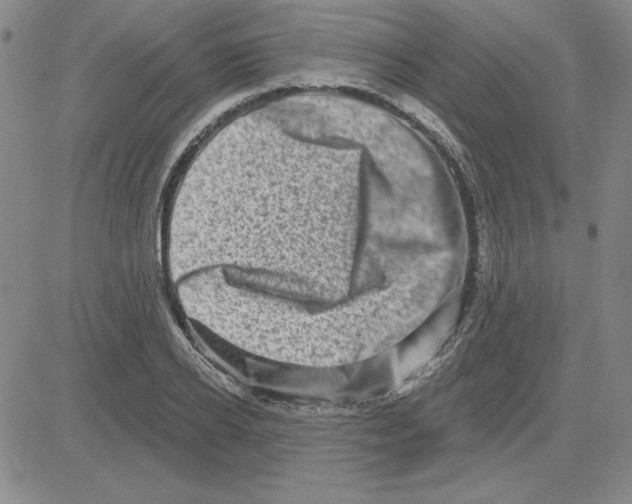 X0000080100934200701051301