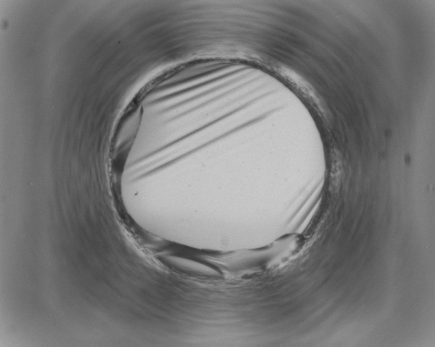 X0000080100942200701051301
