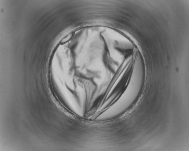 X0000080100949200701051301